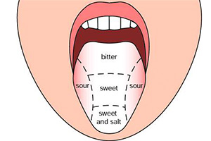 physical sensations on the tongue