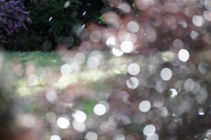 Inspiration from exercise: After staring at the bunny circles until it made me dizzy, I looked down, but down was no longer an option. I was separating into colorful cells, worlds within worlds orbiting each other. How did I still have my consciousness?