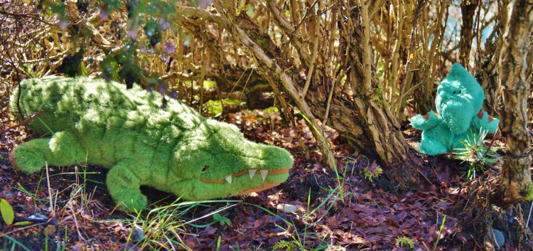 Gator McBumpypants and Herman in the shady place