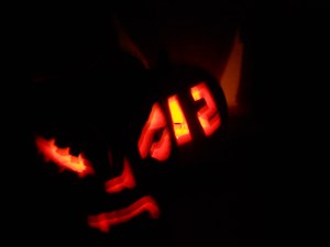 Jack-o-lanterns in the wild.