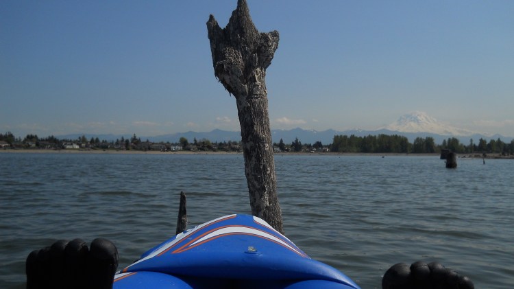 My feet in my inflatable kayak and an interesting stump in the lake