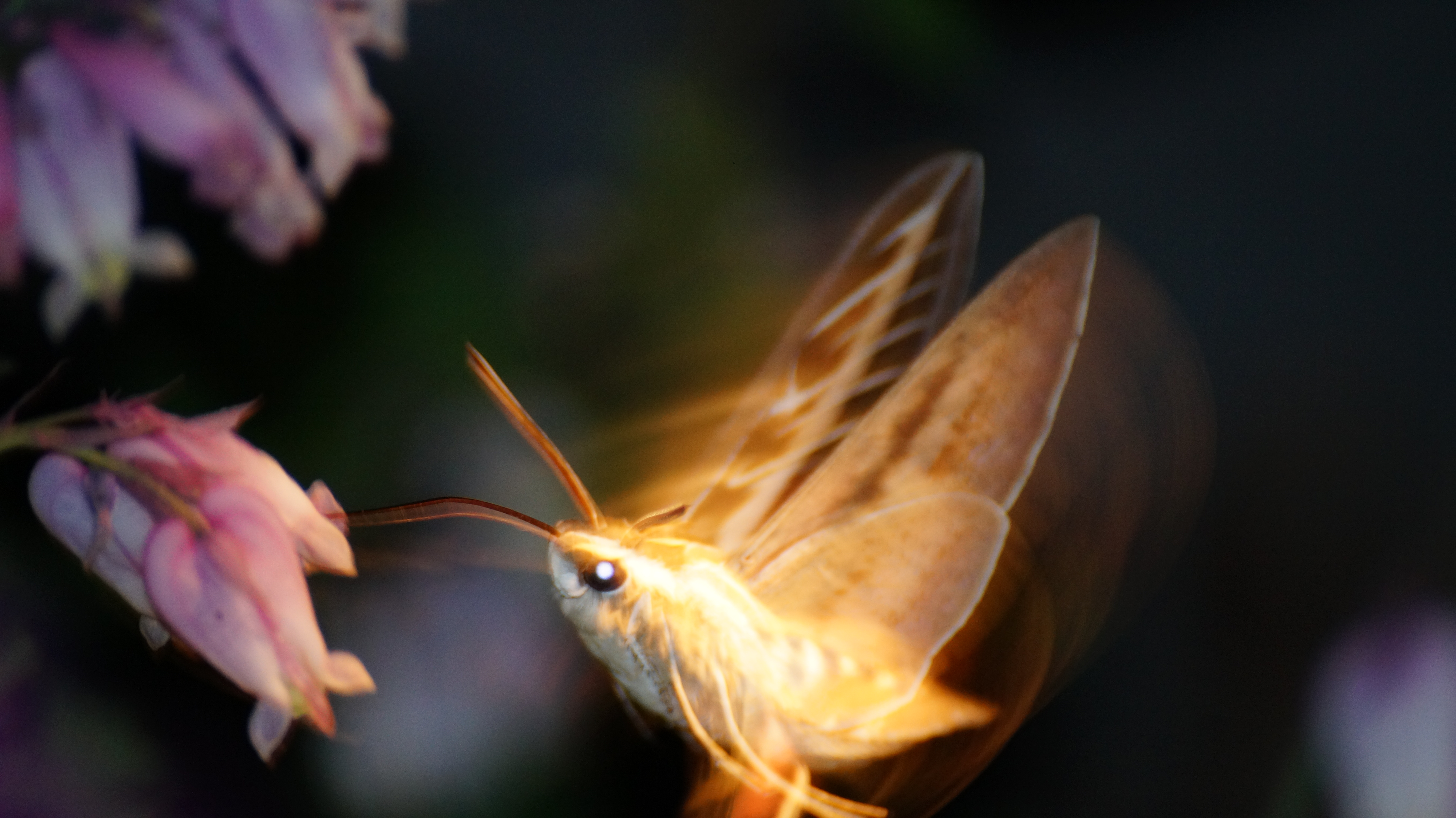 Crater Lake July 4th 2015