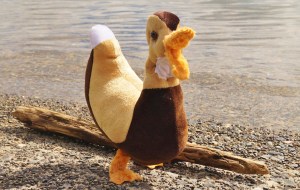 Dee Dee the duck stands by the water