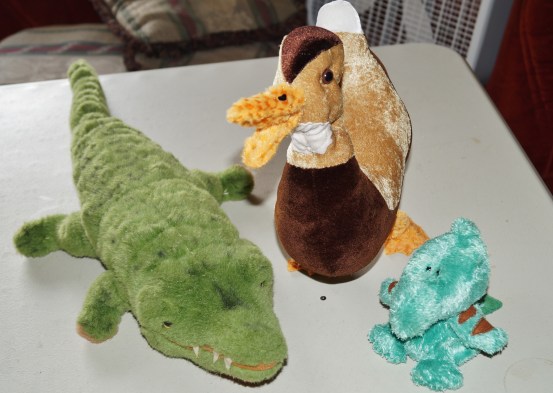 Dee Dee the Duck with her new friends