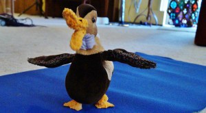 Dee Dee showing off her wings