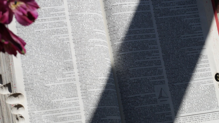 The pages of a dictionary partially in shadow