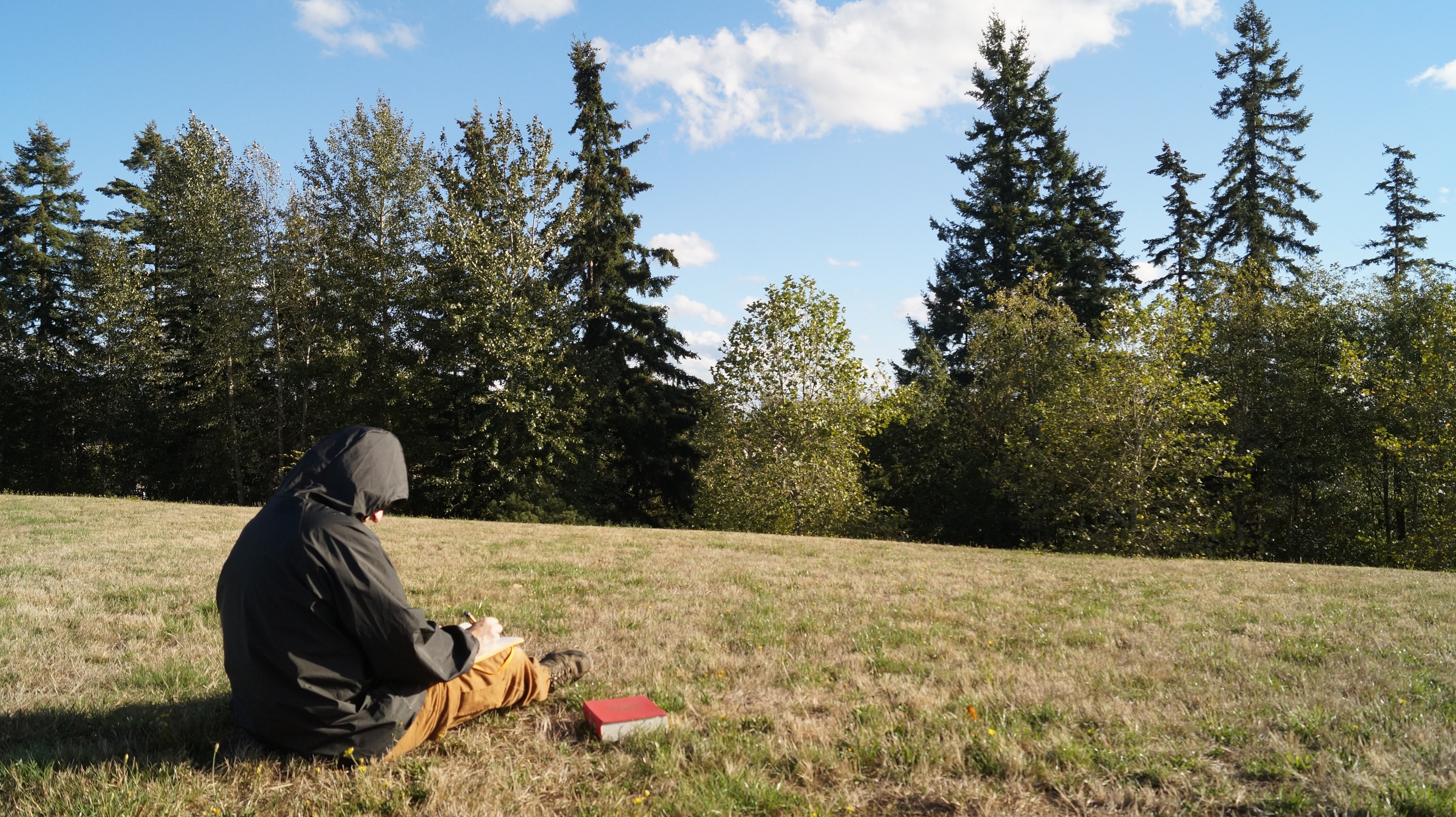 picture of man sitting next to his dictionary on a grassy hill writing in the park