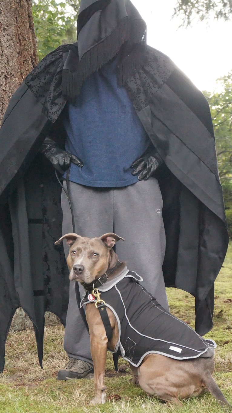 Bad guy walking a dog