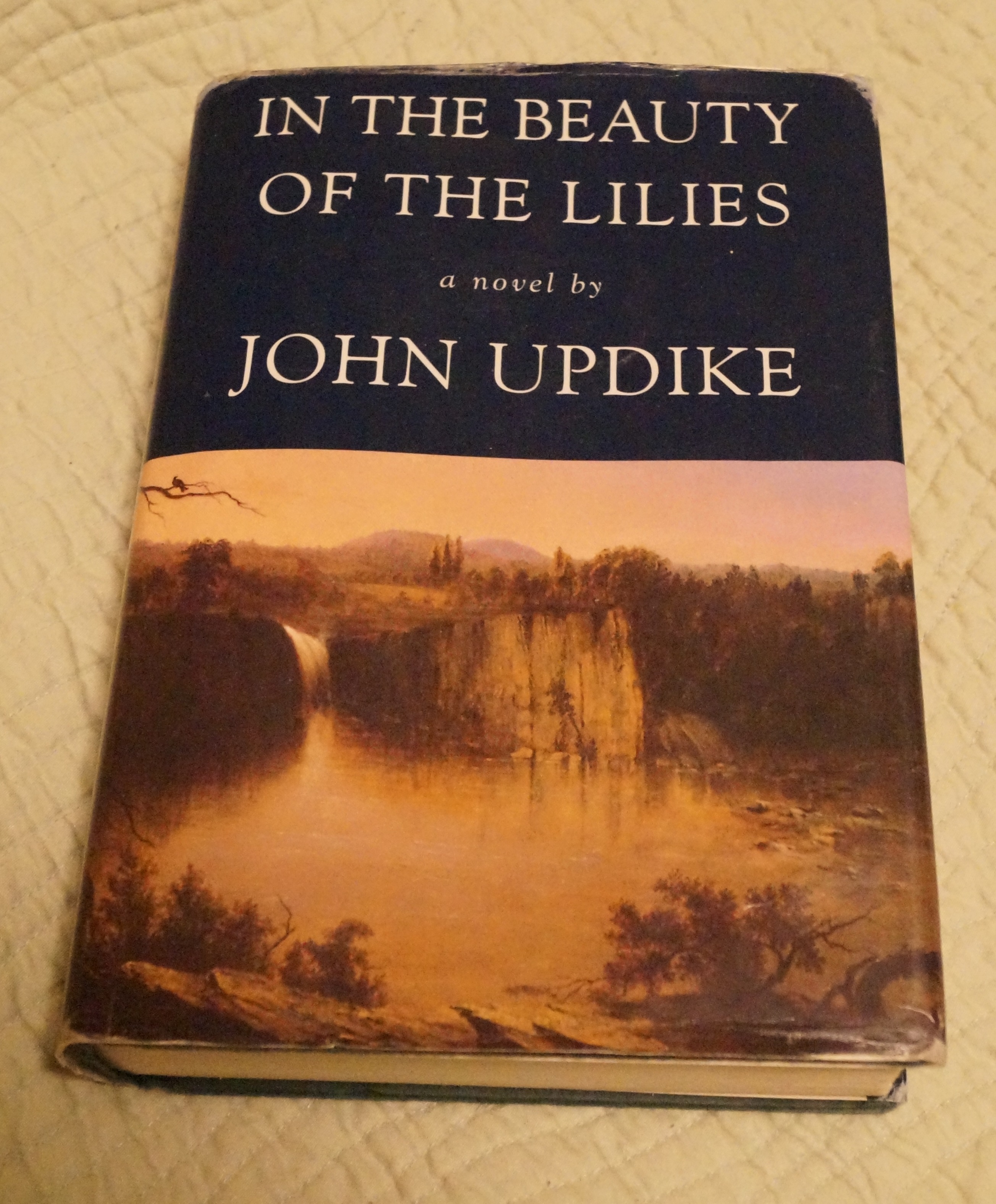 In The Beauty Of The Lillies by John Updike