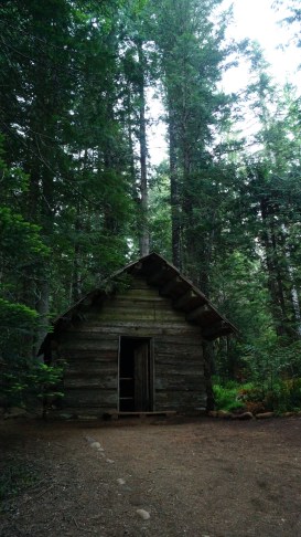 Cabin in the woods