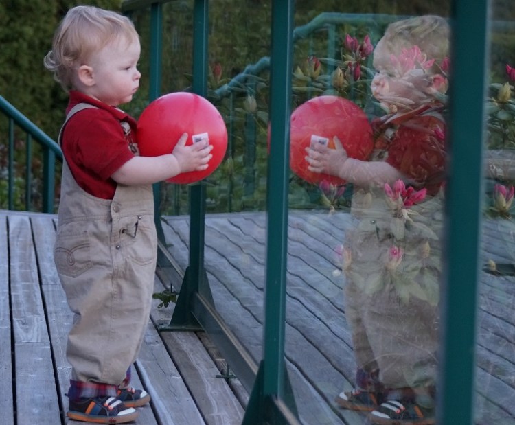 Contemplating the Other