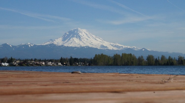 Feather in the Foreground