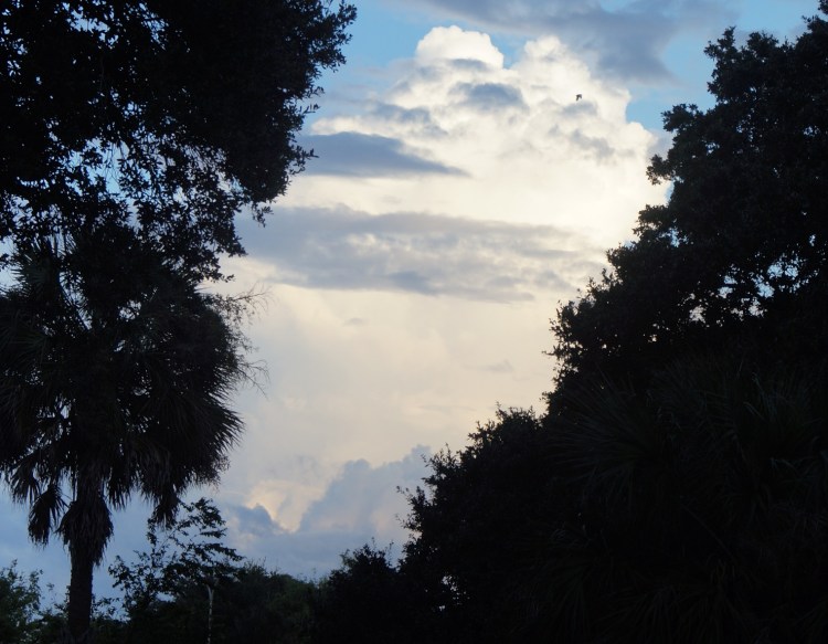 Dancing On The Clouds