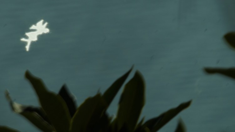 fairy flying in the garden