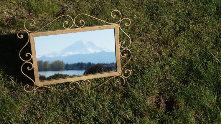 photograph of Mt. Rainier in a mirror on some grass