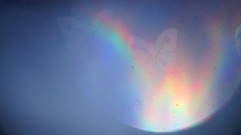 Capturing Rainbow Butterflies (2020) bokeh photograph by Maria L. Berg