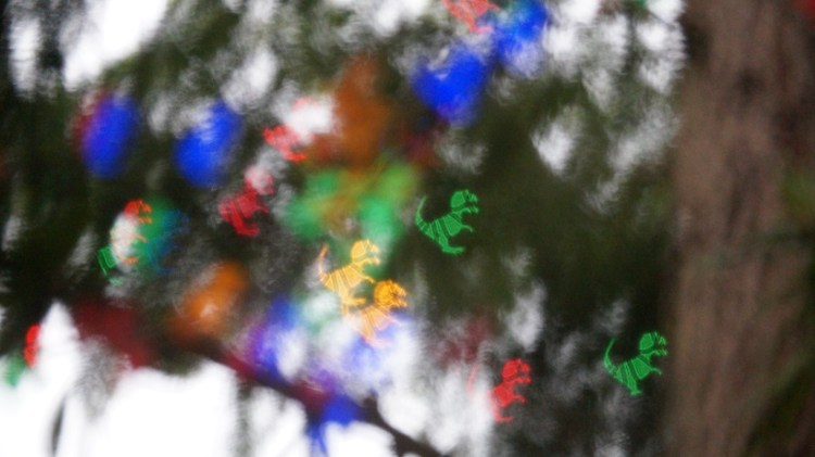 Where there are tiny dinosaurs in the trees