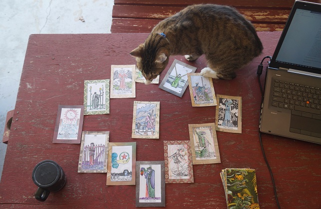 Virgin's path with Levi