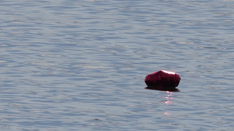 pink Mylar balloon, floating on a lake