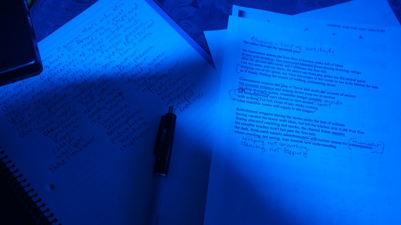 image of notebook and marked-up poem through a blue lens