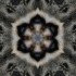 Unknown's avatar