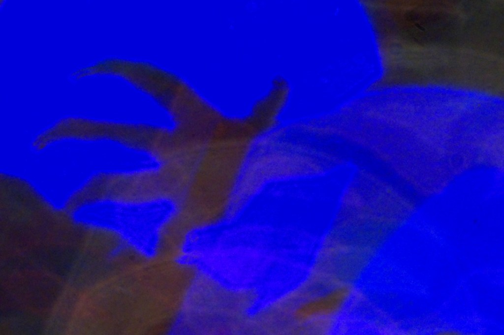 Abstract image featuring shadowy hands against a vibrant blue background, evoking a sense of fear and mystery.