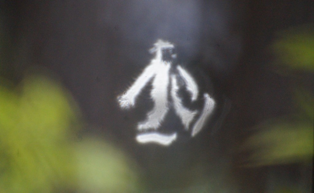 A blurred image showing a silhouette resembling Bigfoot, with green foliage in the foreground.