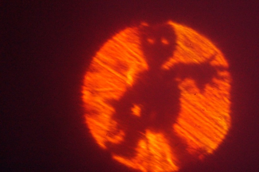 A shadow of a stylized figure with glowing eyes, set against a circular orange background, evoking a spooky atmosphere.
